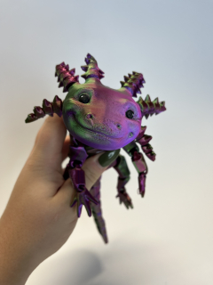 Axolotl 2 - zelená/fialová/červená