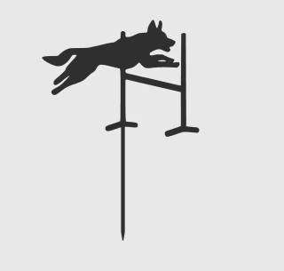 Dortový zápich - Agility