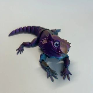 Agama - modrá/fialová/oranžová