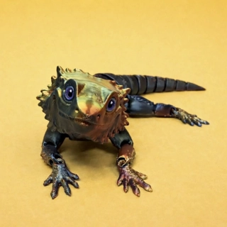 Agama - černá/zlatá/červená