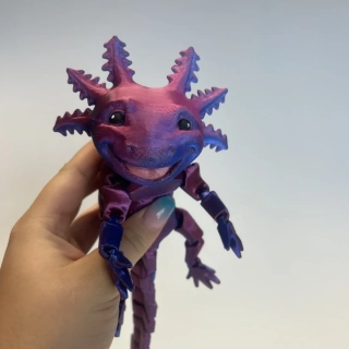 Axolotl - růžová/modrá